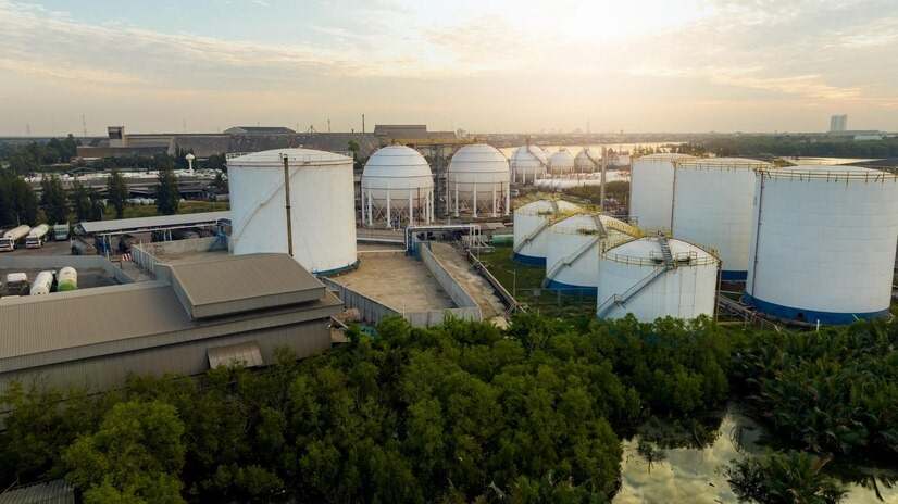 Bio-fuel production process